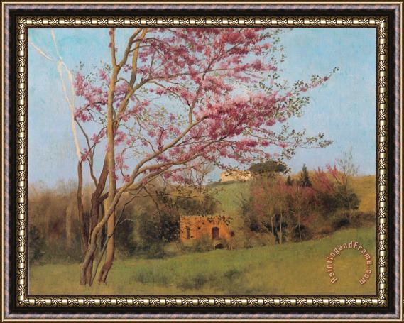 John William Godward Landscape Blossoming Red Almond [study] Framed Painting